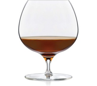 Signature Kentfield Brandy Glasses, 16-ounce, Set of 4